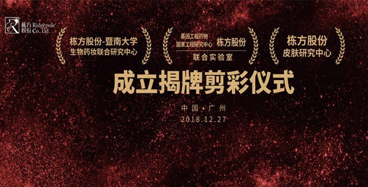 特別報道丨棟方股份技術發展迎來新里程碑